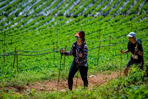 BIB: 
                            <button type="button" onclick="openModal(19164667)" class="btn btn-primary btn-sm float-right btn-popup" data-toggle="modal" data-target=".modal-high-quality">
                        <i class="fas fa-shopping-cart"></i> Add to Cart
                    </button>
                                            <button type="button" onclick="isThisMe(19164667, true)" class="btn btn-success btn-sm float-right btn-popup btn-isme hidden" data-toggle="tooltip" data-placement="bottom" title="นี่คือรูปของคุณใช่ไหม คลิกที่นี่เพื่อเอาเข้าอัลบั้ม">
                        <i class="fas fa-plus"></i> Add to album
                    </button>
                    <button type="button" onclick="isThisMe(19164667, false)" class="btn btn-warning btn-sm float-right btn-popup btn-isnotme hidden">
                        <i class="fas fa-ban"></i> Remove from album
                    </button>